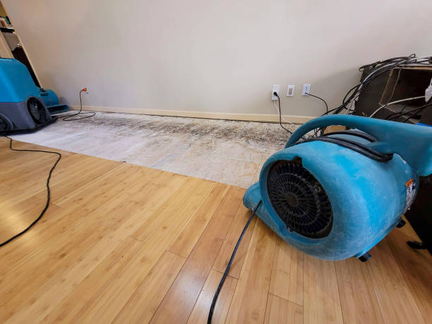 Professional Sewage Cleanup technician working in Manchester, OH